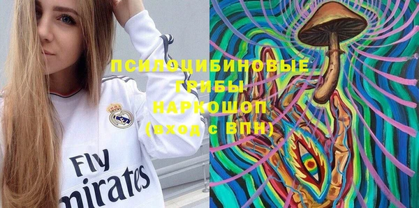 СК Аркадак